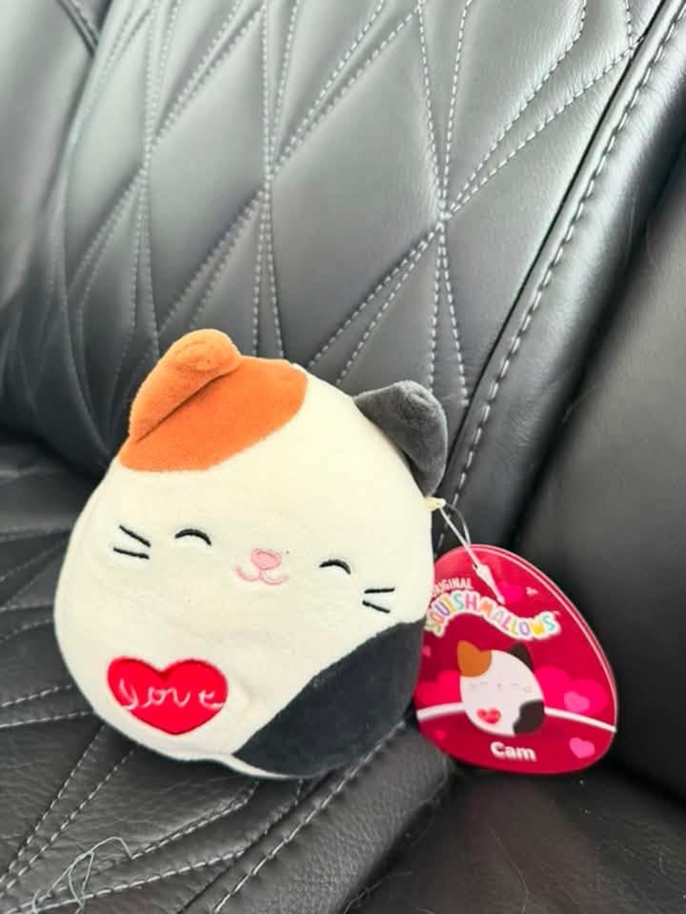 NWT Valentines Squishmallow